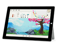 盘山Surface 无法开启、Windows 无法启动或电池无法充电